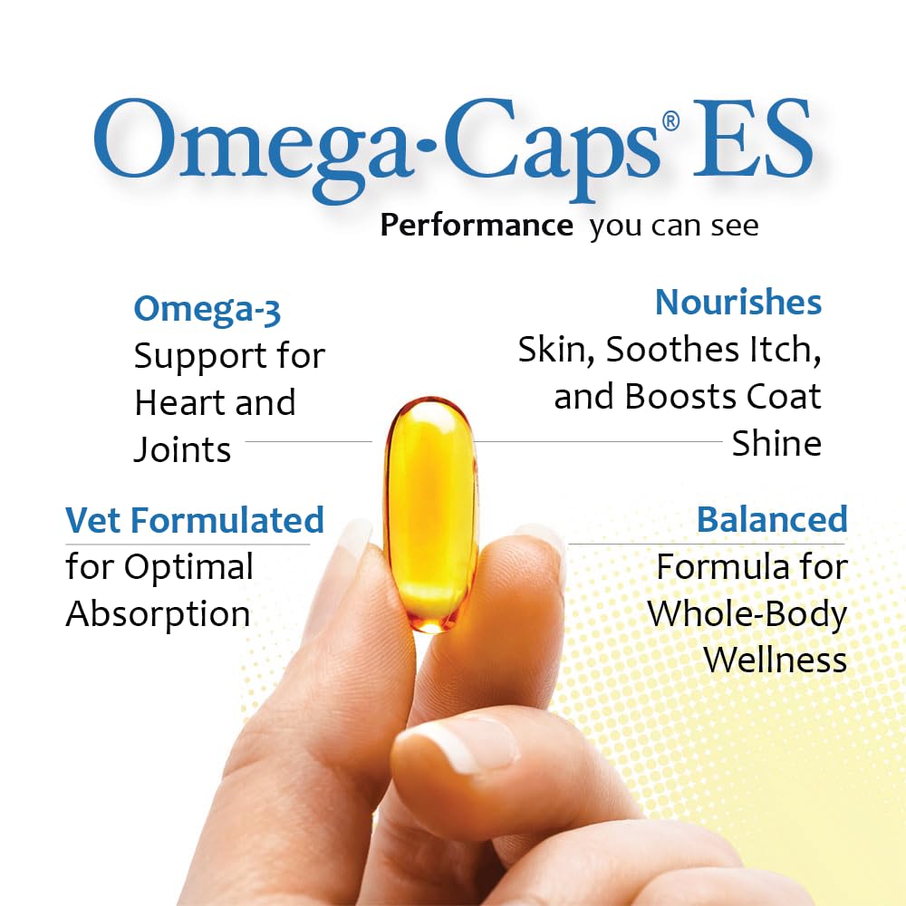 Omega Caps ES: botella de cápsulas suaves para uso diario.