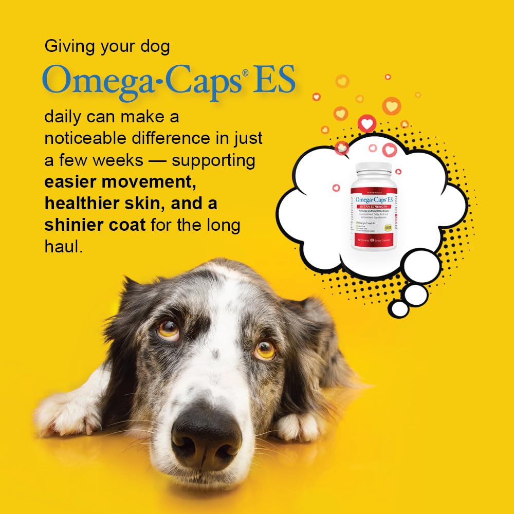 Omega Caps ES: primer plano de cápsula suave en mano.