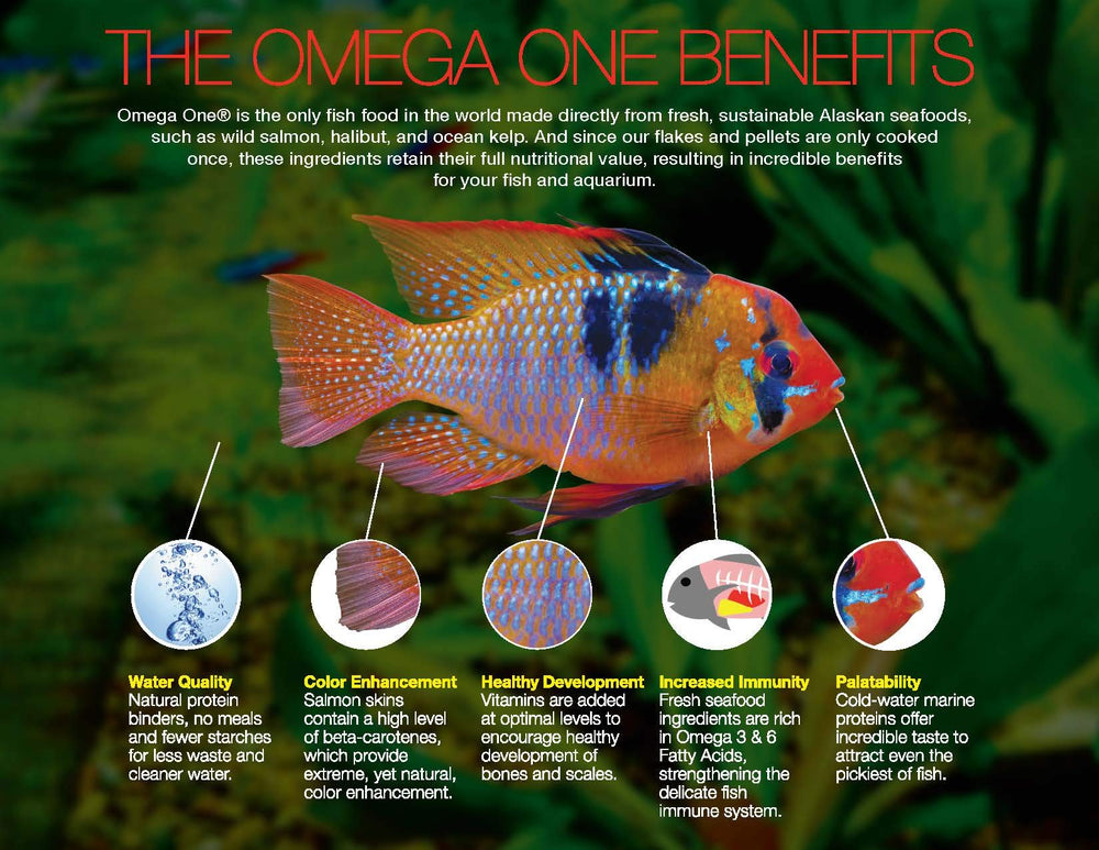 Alimento diario Omega One para cíclidos, ideal para uso regular