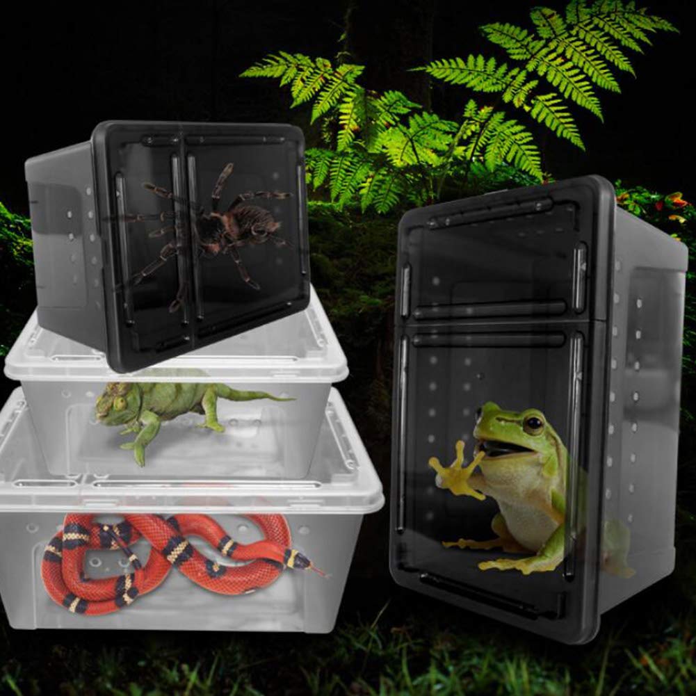 OMEM terrario portátil, diseño ligero, ideal para viajar con mascotas.