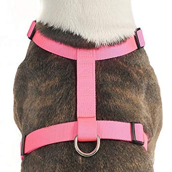 Arnés OmniPet ajustable de nylon violeta para perros pequeños, confort diario para paseos