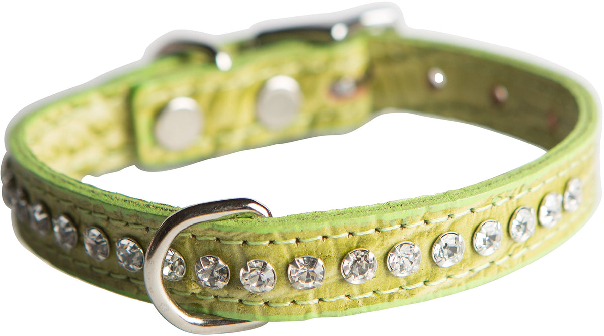 OmniPet collar de cuero cristal verde, grano de cocodrilo, ideal para paseos elegantes.