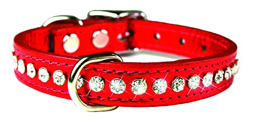 OmniPet collar de cuero con cristales, ideal para paseos diarios y eventos especiales.