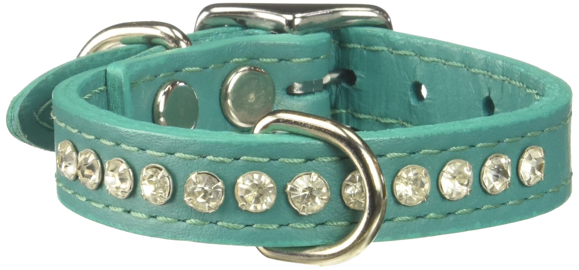 Detalle collar OmniPet con hebilla níquel y anilla D, duradero para uso cotidiano