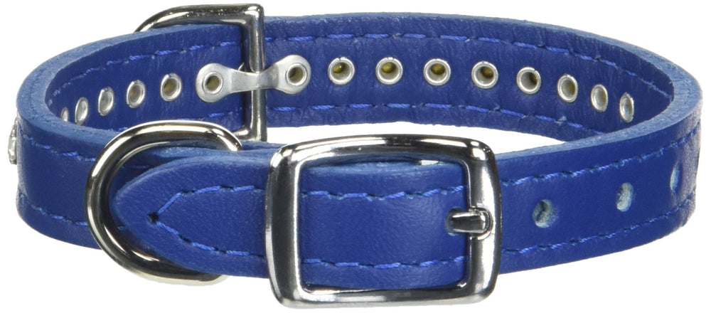 Collar OmniPet con hebilla niquelada y anilla en forma D para pasear con seguridad