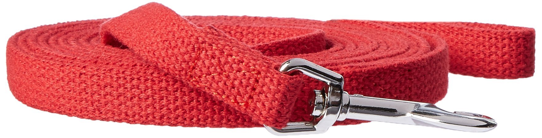 OmniPet cuerda de entrenamiento para perros roja, ideal para paseos y control suave.