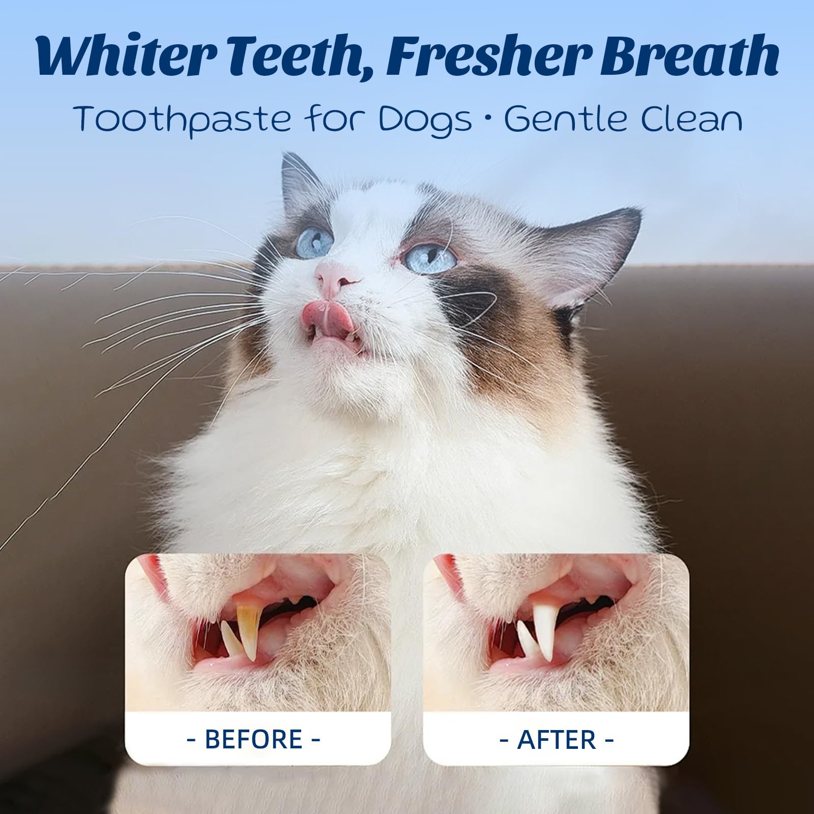 Aliento fresco de mascotas con pasta dental OMYGYM