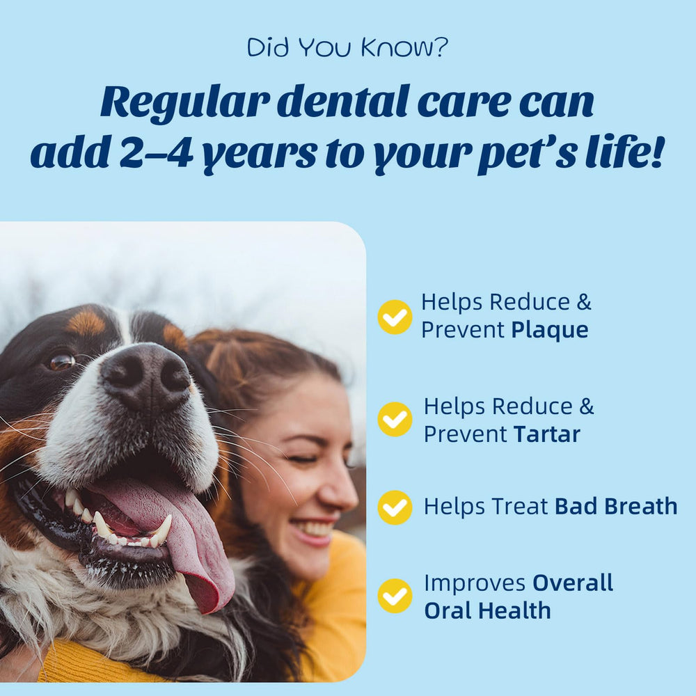 OMYGYM bálsamo para patas de perros, protección suave en cualquier clima.