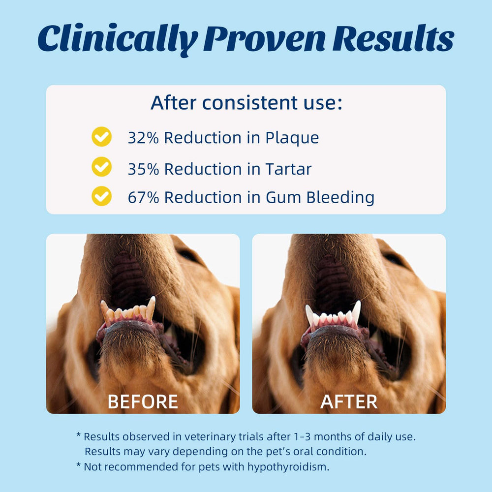OMYGYM polvo dental uso diario, ideal para perros y gatos.