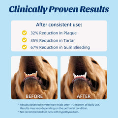 OMYGYM polvo dental uso diario, ideal para perros y gatos.