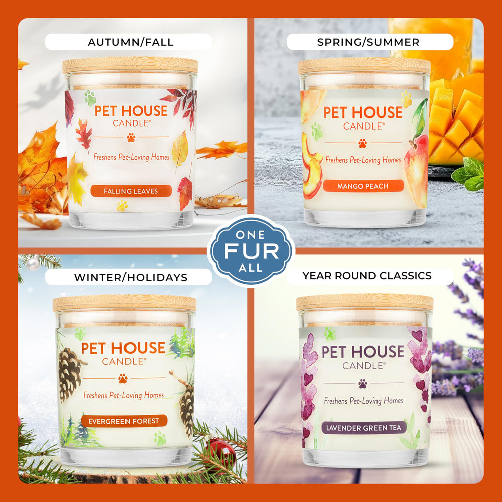 One Fur All vela de larga duración de 60 horas para sala o cocina