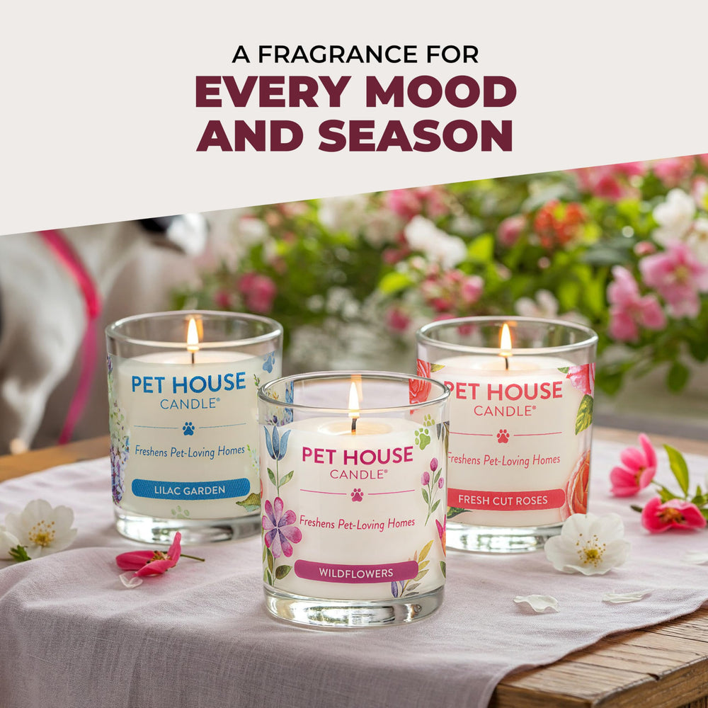 One Fur All: vela dormitorio relajación, aroma suave para descanso.