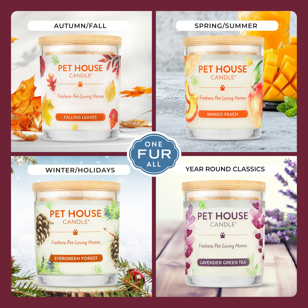One Fur All: vela para hogar, aroma cálido y hogareño que suaviza el ambiente.