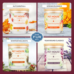 One Fur All: vela para hogar, aroma cálido y hogareño que suaviza el ambiente.