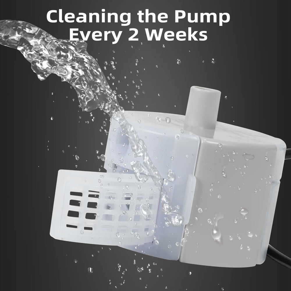 ONECUTE bomba SMA-800 uso diario para agua fresca en casa