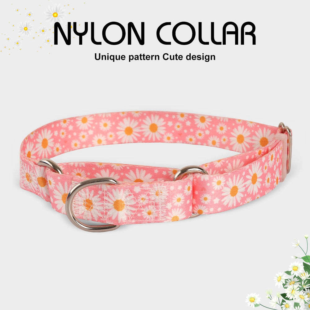 ONEFOJOJO collar martingala lavado a mano para limpieza rápida y fácil