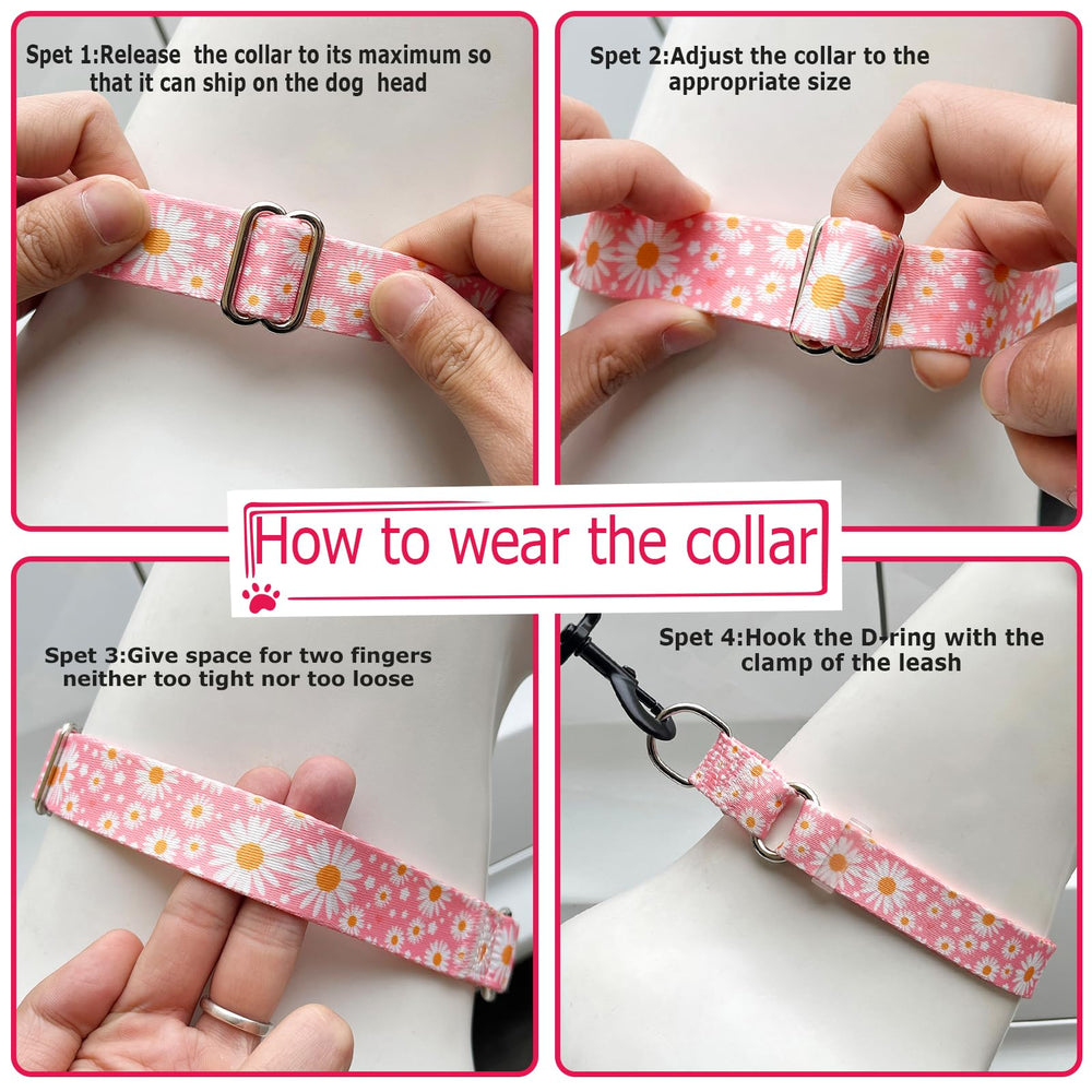 ONEFOJOJO collar martingala talla mediana-grande para perras femeninas