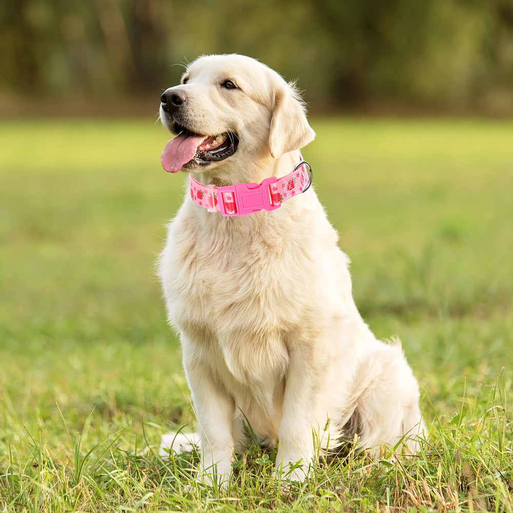 ONEFOJOJO collar con anilla D de seguridad, sujeción fiable para la correa