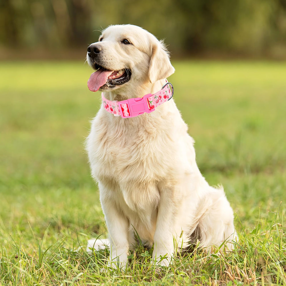 ONEFOJOJO collar rosa cereza XL, diseño cómodo para perros activos durante juegos y paseos.