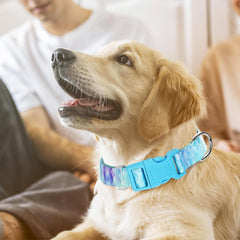ONEFOJOJO collar azul de uso diario para paseos y juegos al aire libre.