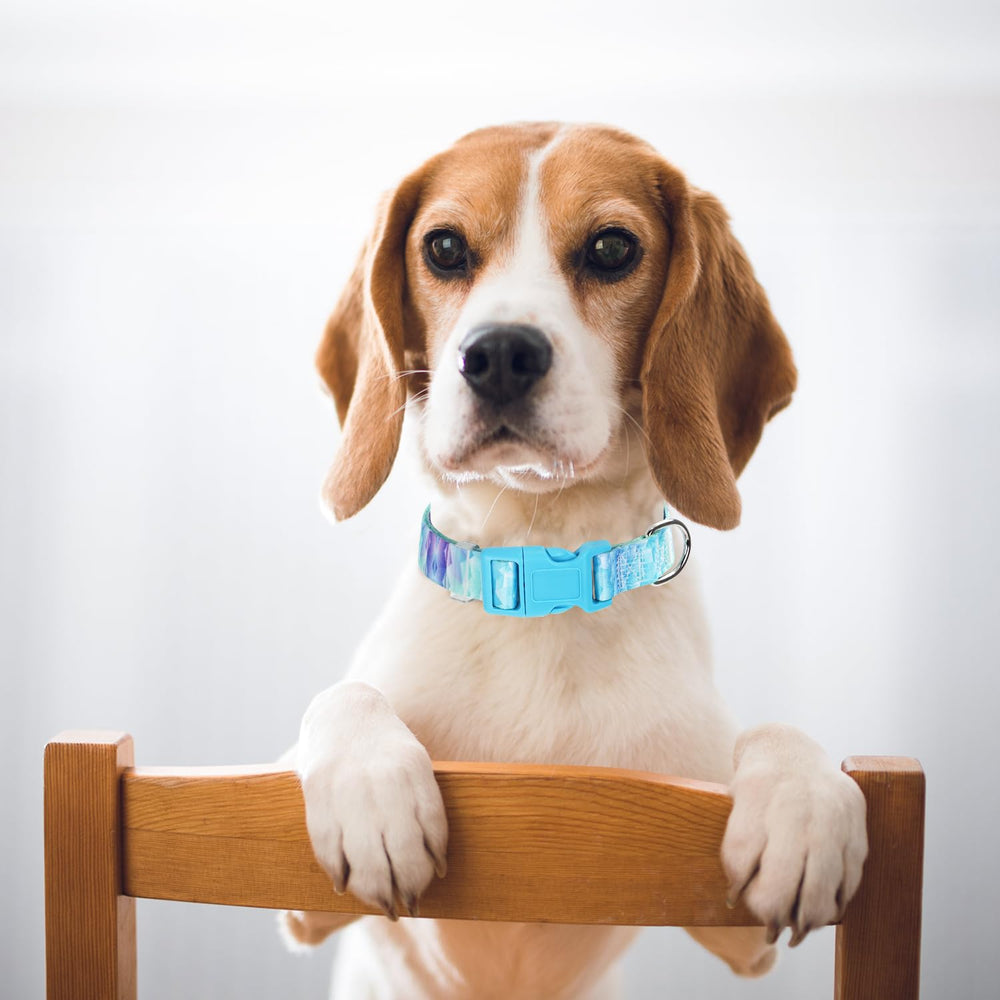 ONEFOJOJO collar de nylon resistente con ajuste flexible, perfecto para perros activos.
