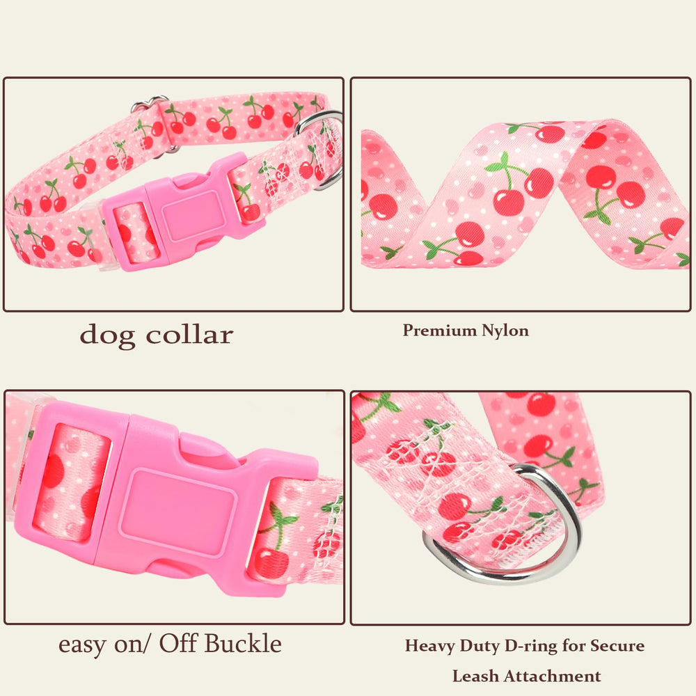ONEFOJOJO collar de nailon duradero para perros XL con ajuste cómodo.