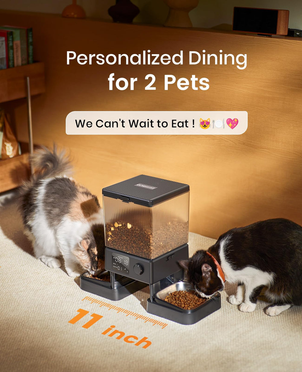 oneisall capacidad 5l para alimentar a dos gatos durante ausencias cortas