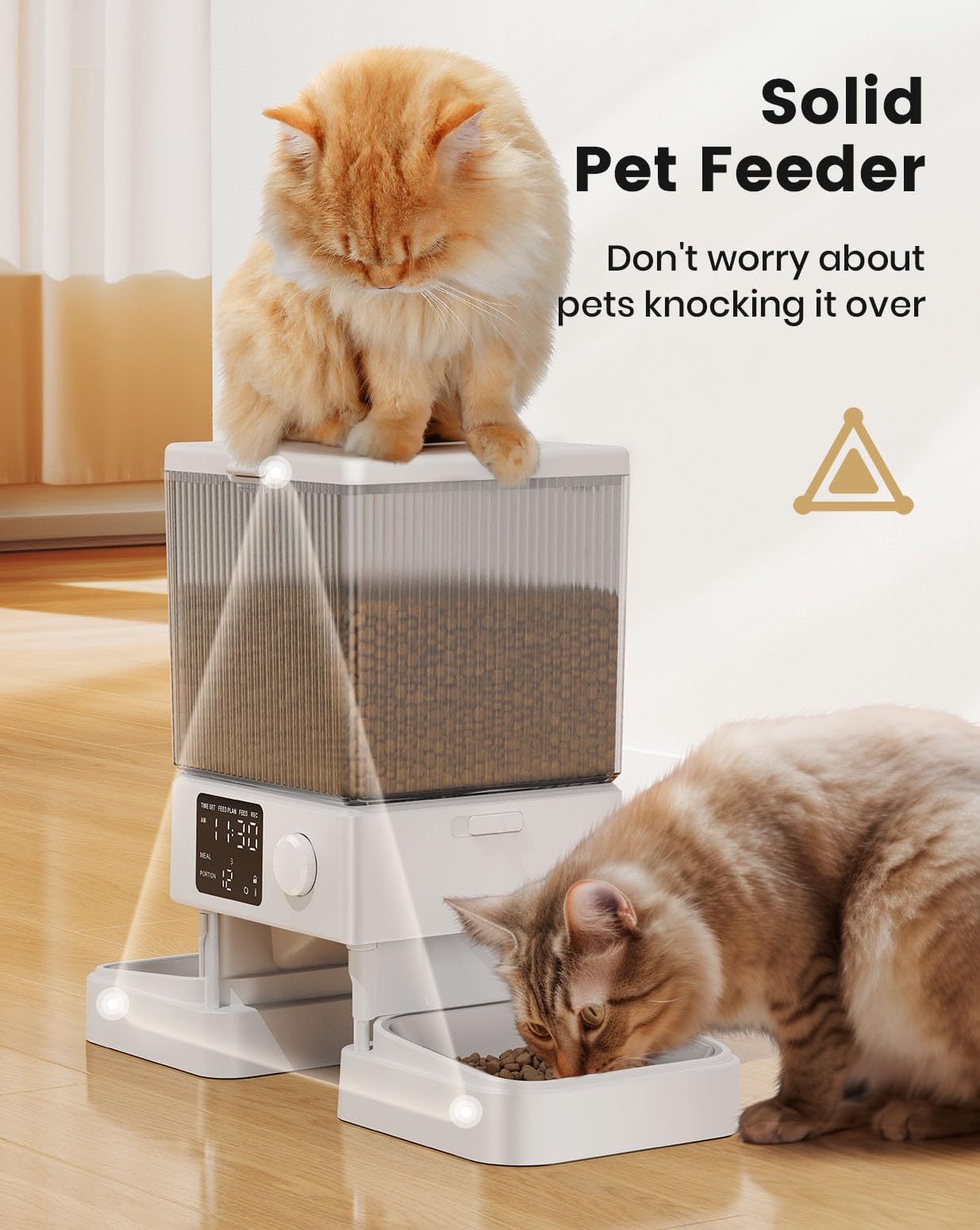 Oneisall diseño para evitar peleas entre dos gatos.