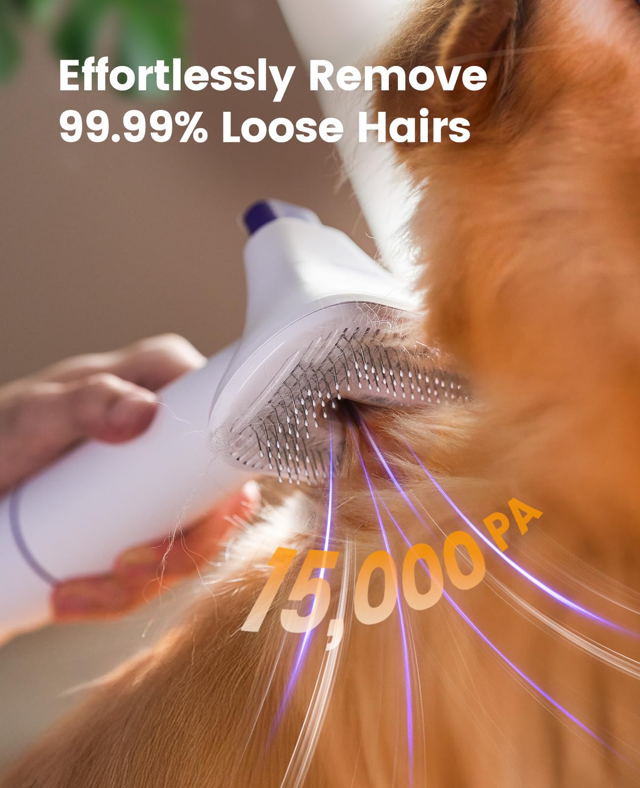 Oneisall aspiración silenciosa cuida a tu mascota durante la limpieza.