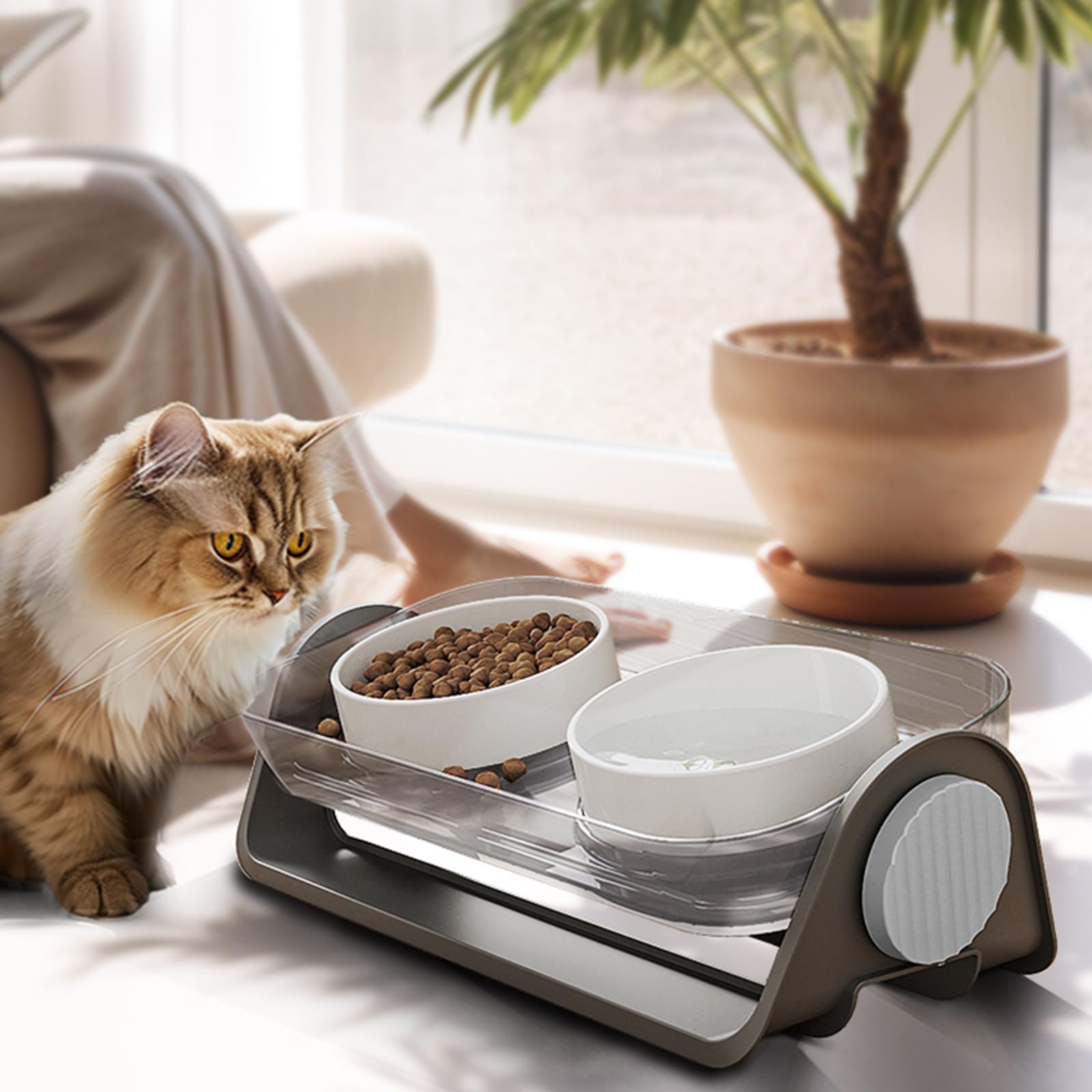 Oneluck experiencia comedor confortable: para gatos y perros pequeños