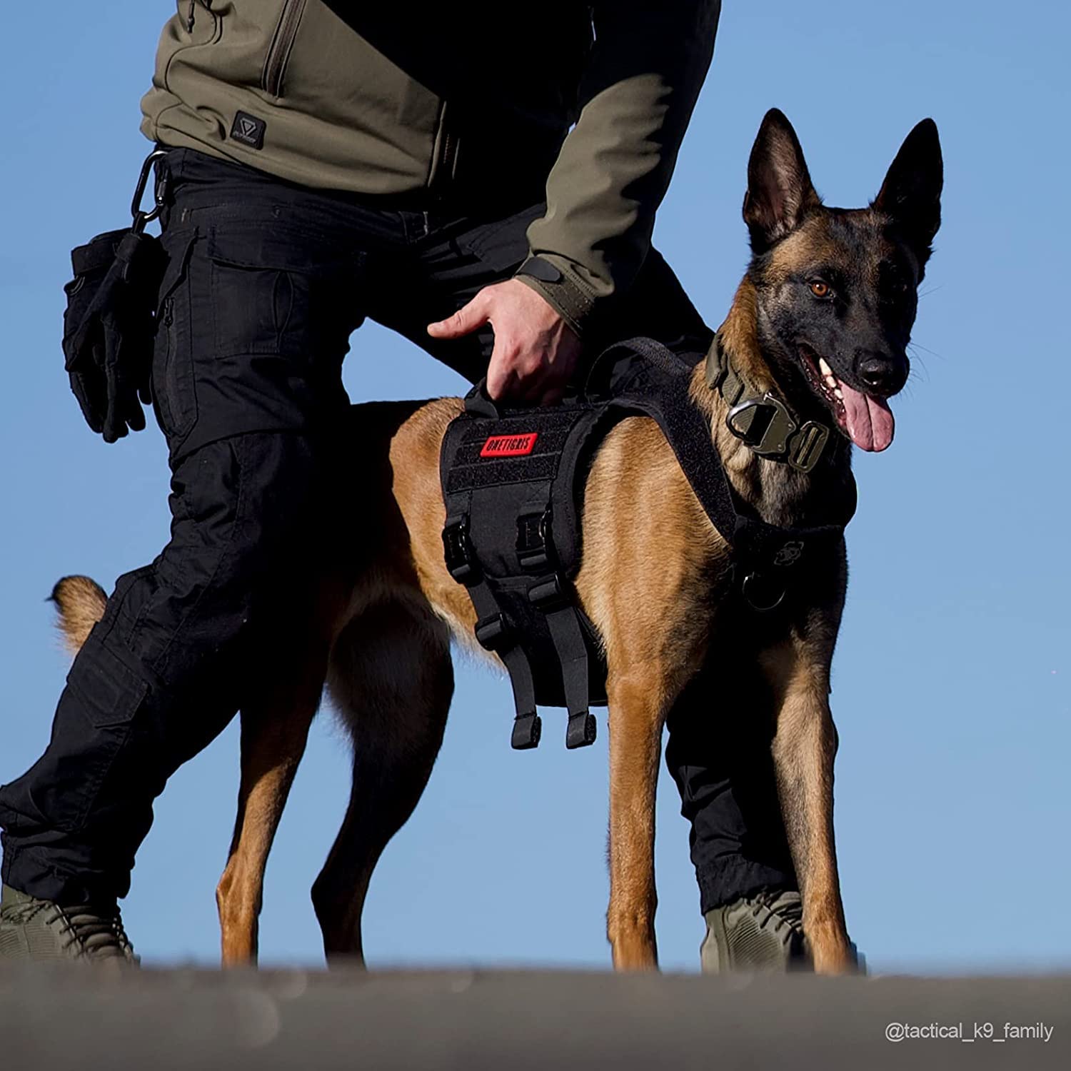 ONETIGRIS acolchado suave protege la piel del perro durante largas caminatas.