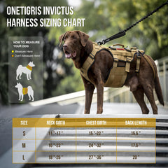 ONETIGRIS arnés elevacion para perro movilidad frontal, distribución uniforme del peso.