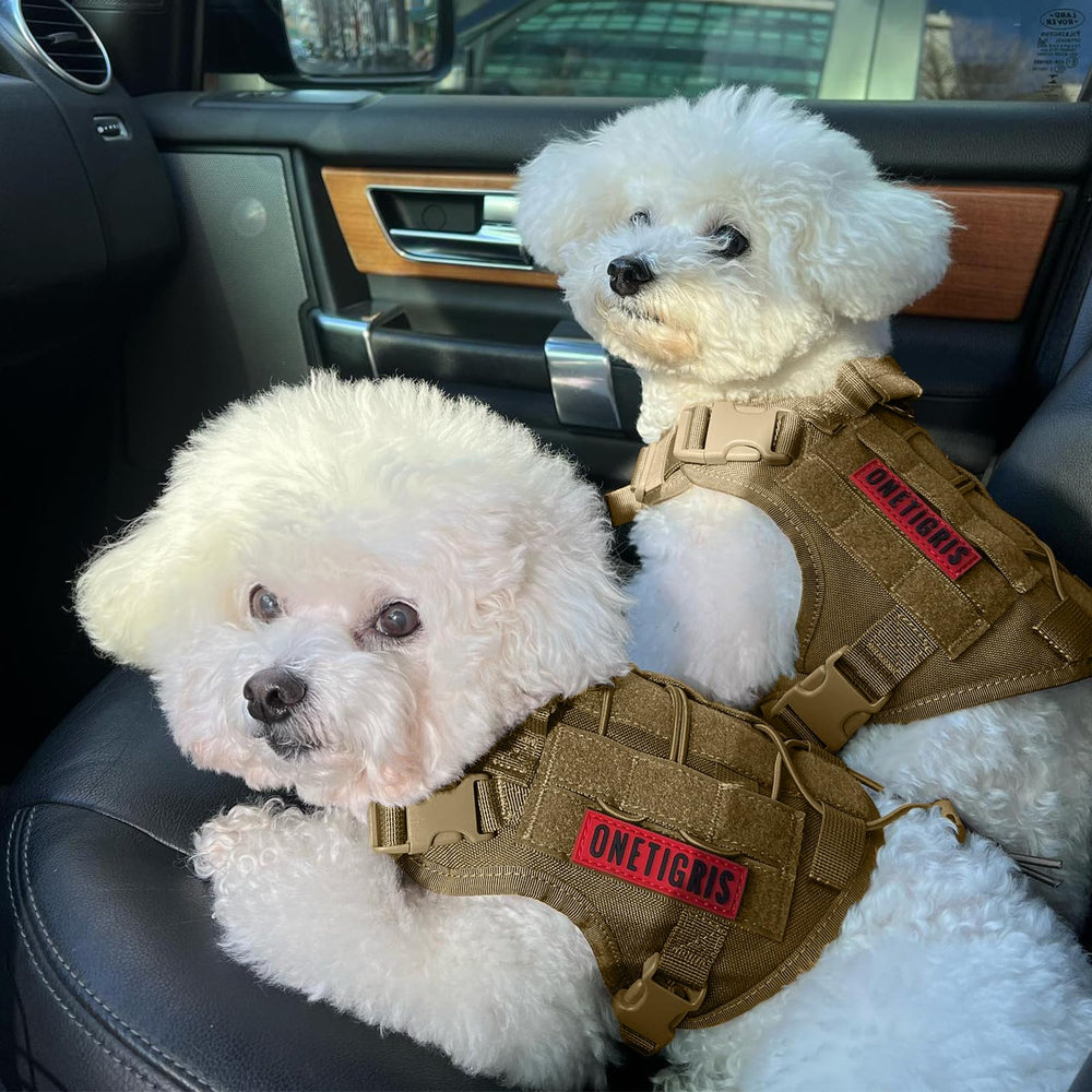 OneTigris arnés-entrenamiento para perro coyote trasero para control diario