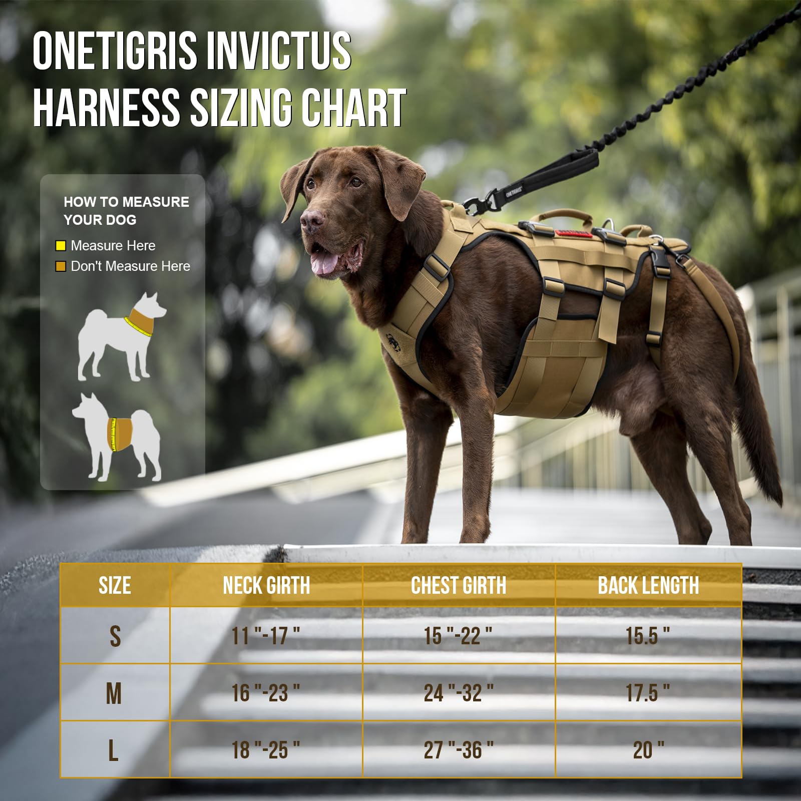 OneTigris arnés movilidad para perro, vista trasera, distribución estable del peso.