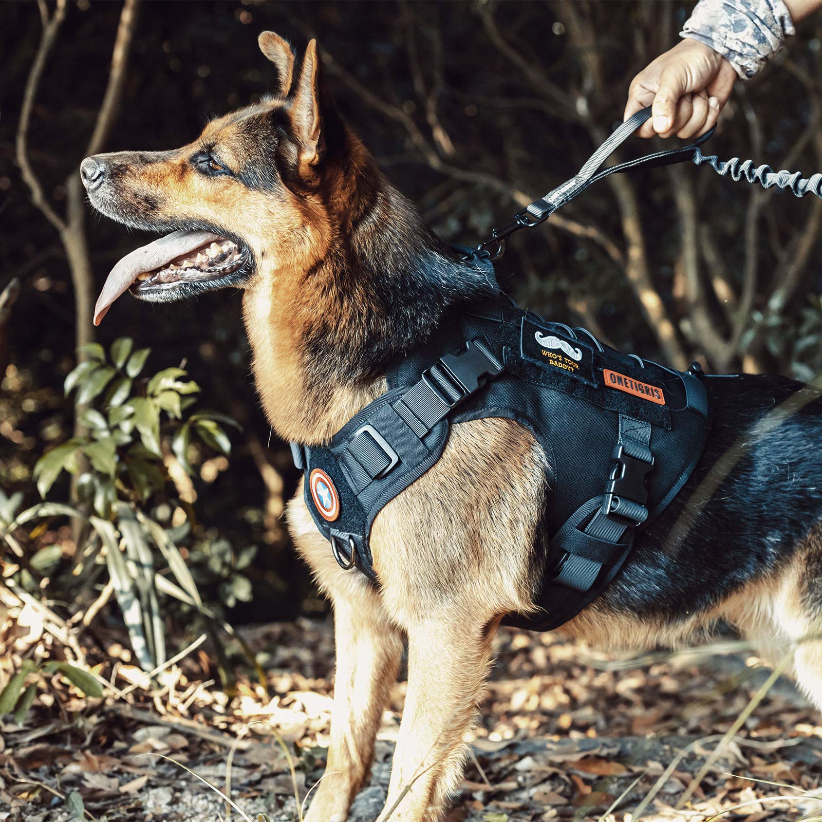 OneTigris acolchado cómodo para paseos y entrenamiento