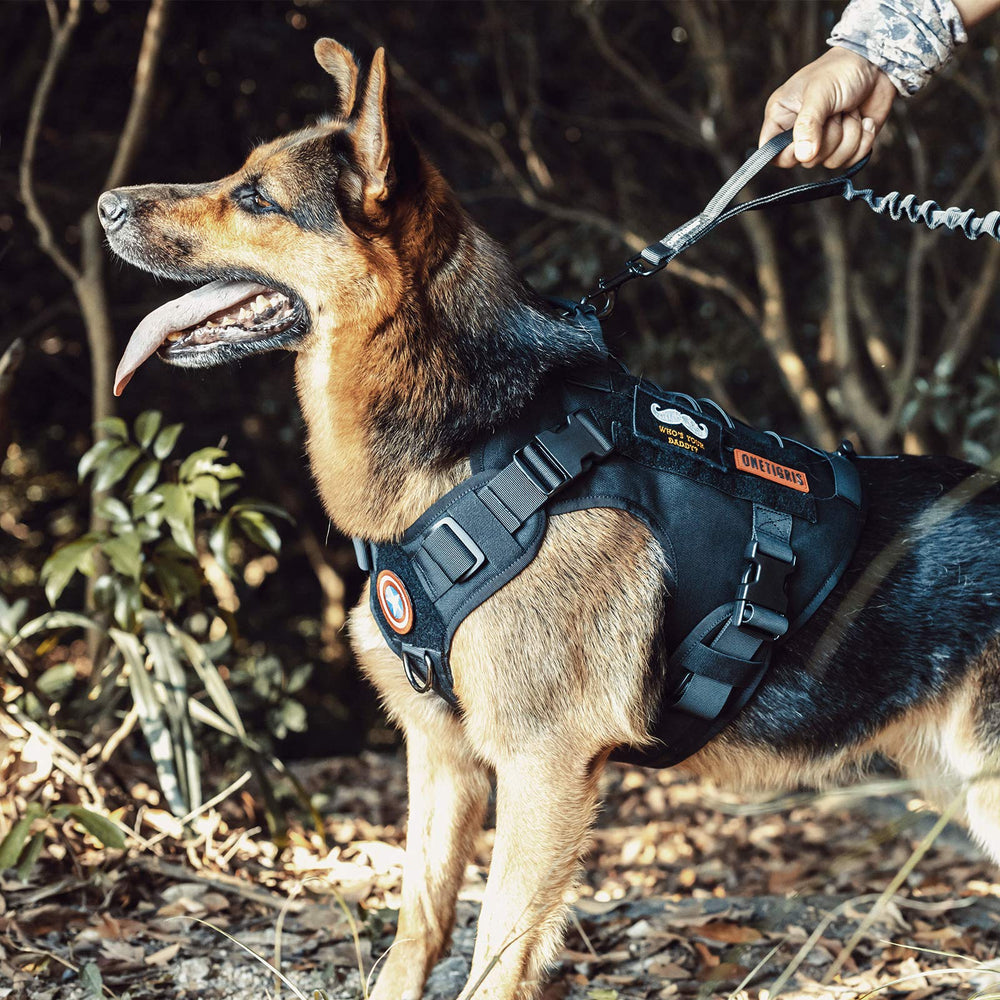 OneTigris acolchado cómodo para paseos y entrenamiento