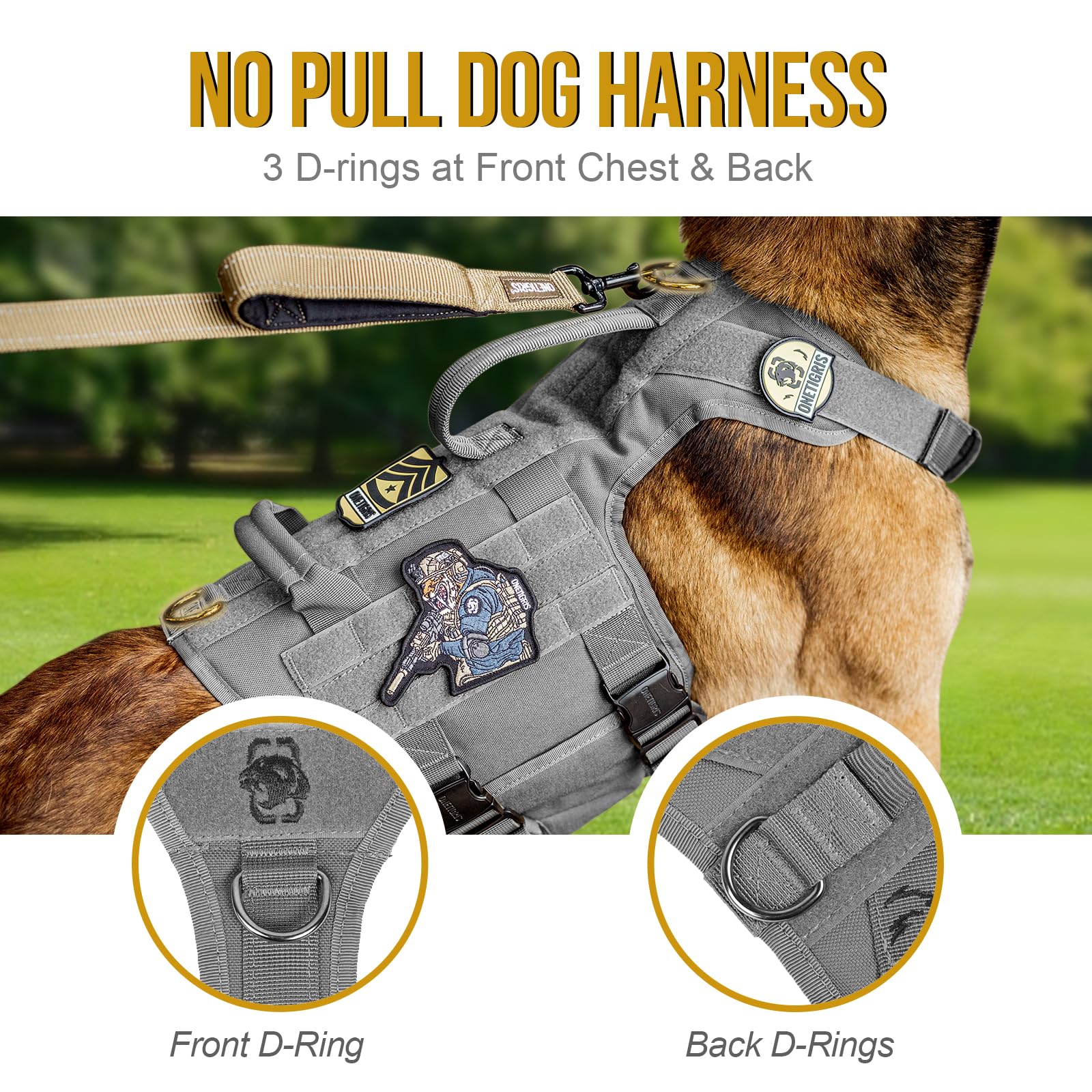 Guía de tallas M, L y XL para perros grandes.