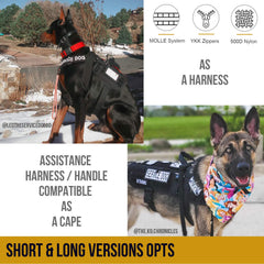 ONETIGRIS arnés para perro en nylon 500D, resistente.