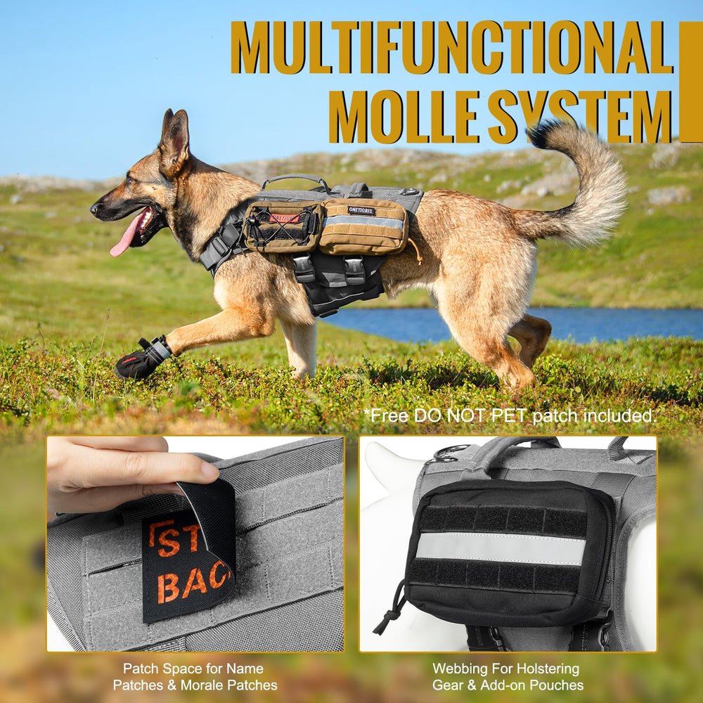 Sistema MOLLE lateral para añadir bolsos o accesorios.