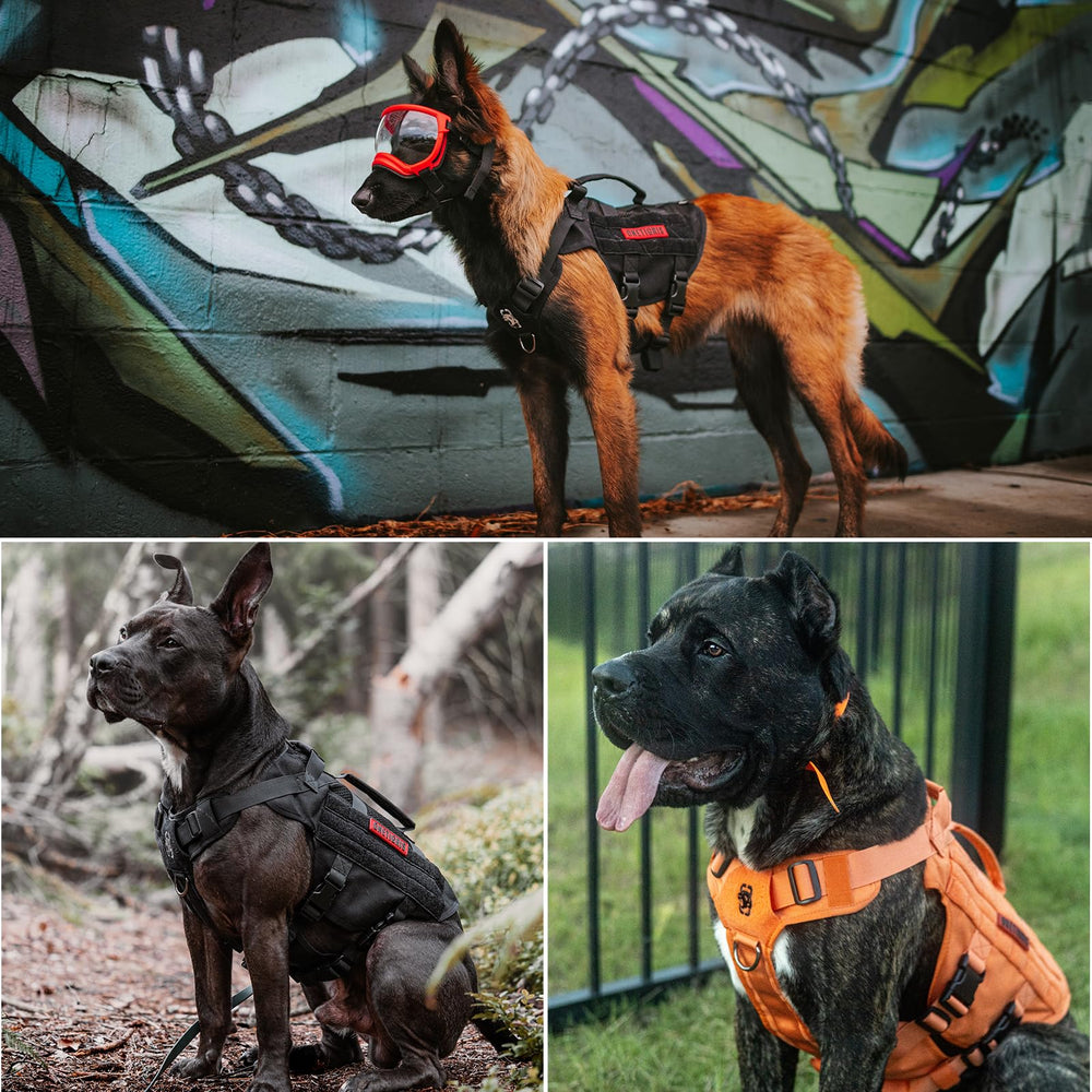 ONETIGRIS arnés ajustable, guía de tallas para perros pequeños y medianos.