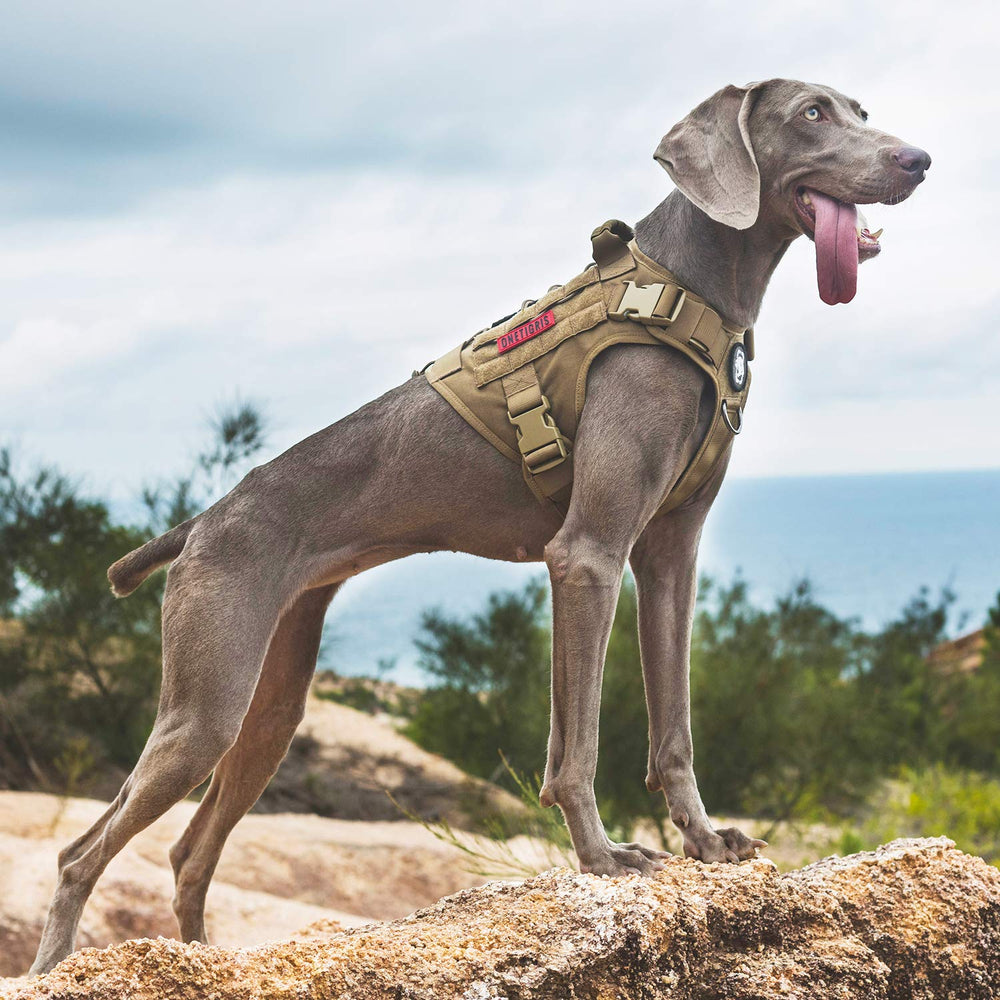 Arnés ONETIGRIS Fire Watcher disponible en tallas para ajuste perfecto.