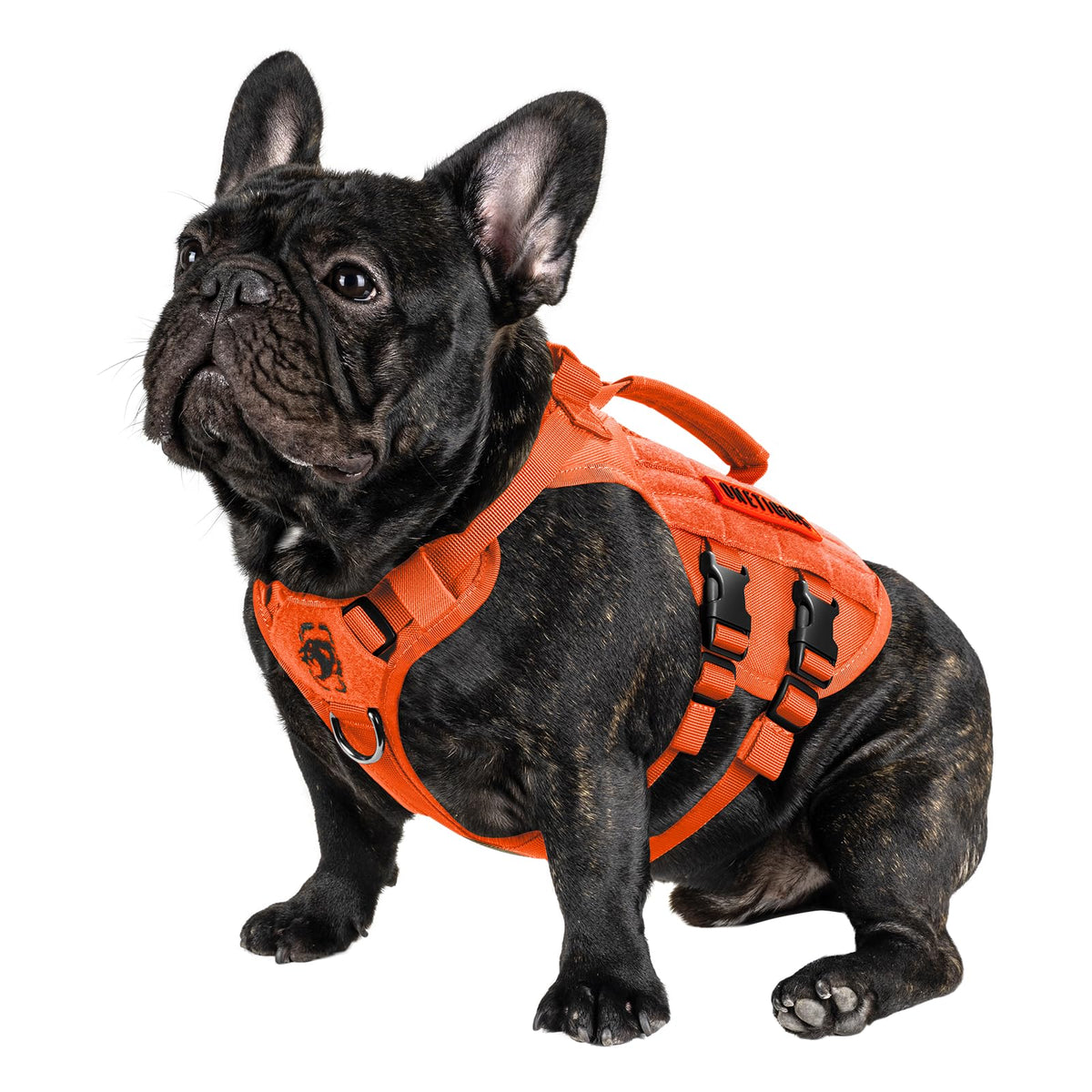 ONETIGRIS arnés táctico para perro pequeño, vista frontal, cómodo y seguro para paseos.