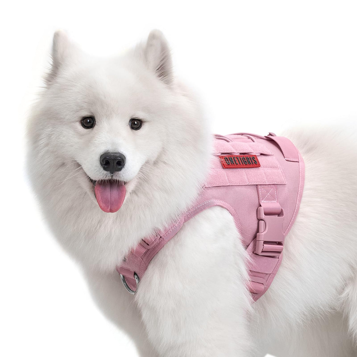 ARNES ONETIGRIS para perro, vista frontal, cómodo y ajustable para caminatas largas.