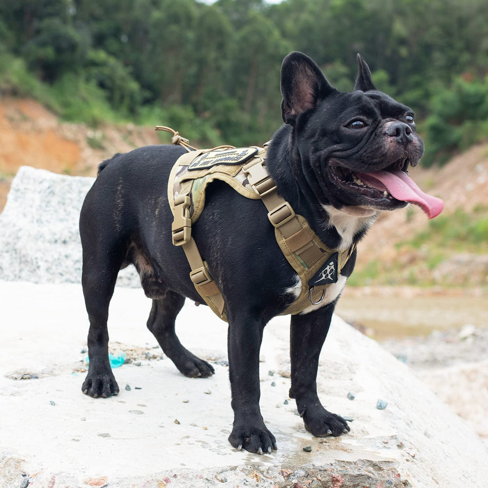 OneTigris arnés para perro en nylon 1000D, acolchado cómodo para días activos
