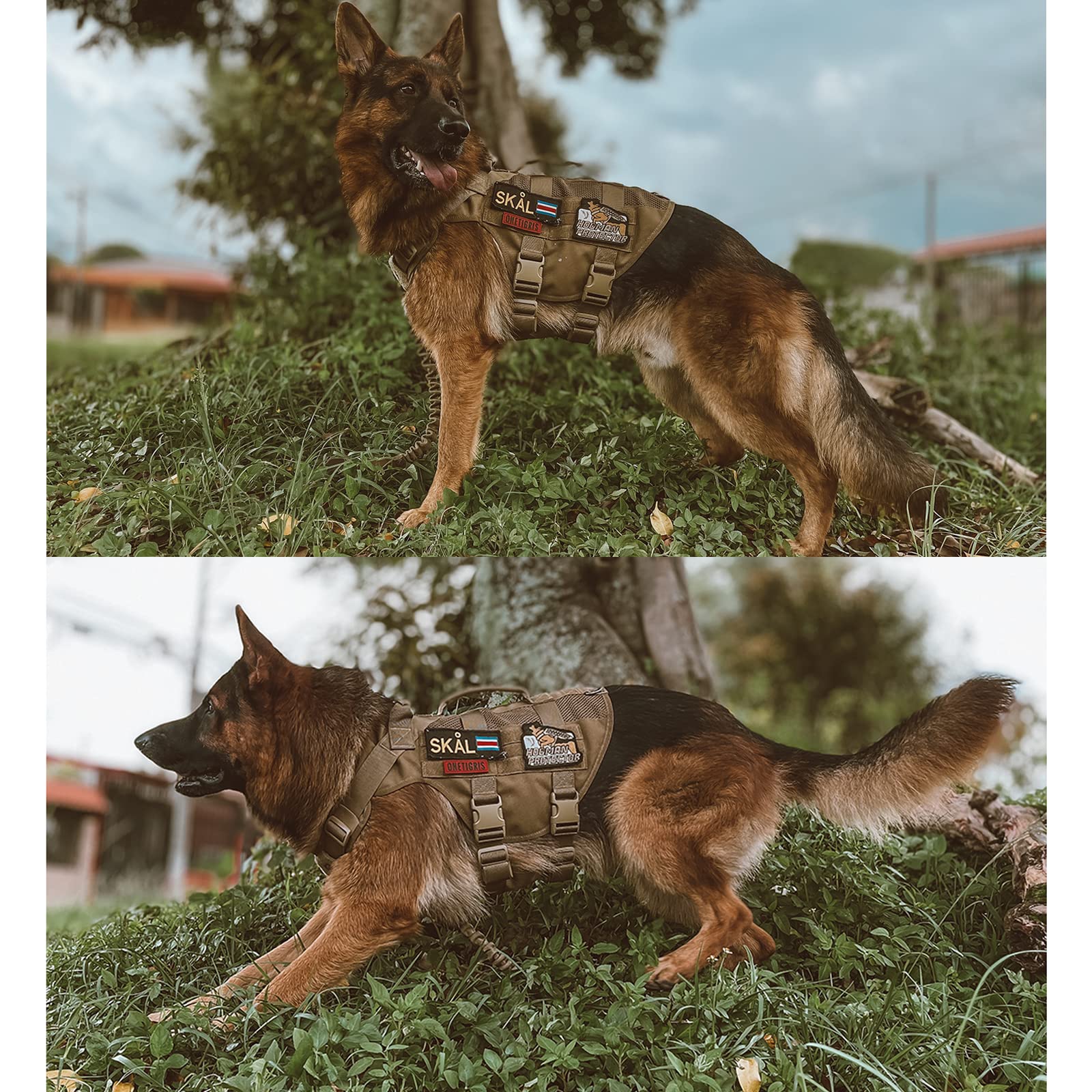 Diseño robusto de OneTigris apto para perros de servicio o trabajo.