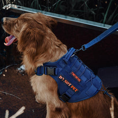OneTigris arnés con asa superior para control durante paseos.