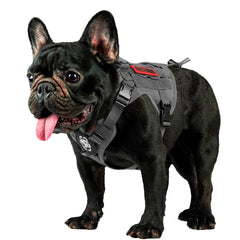 OneTigris arnés táctico para perro, vista frontal, paseo con control