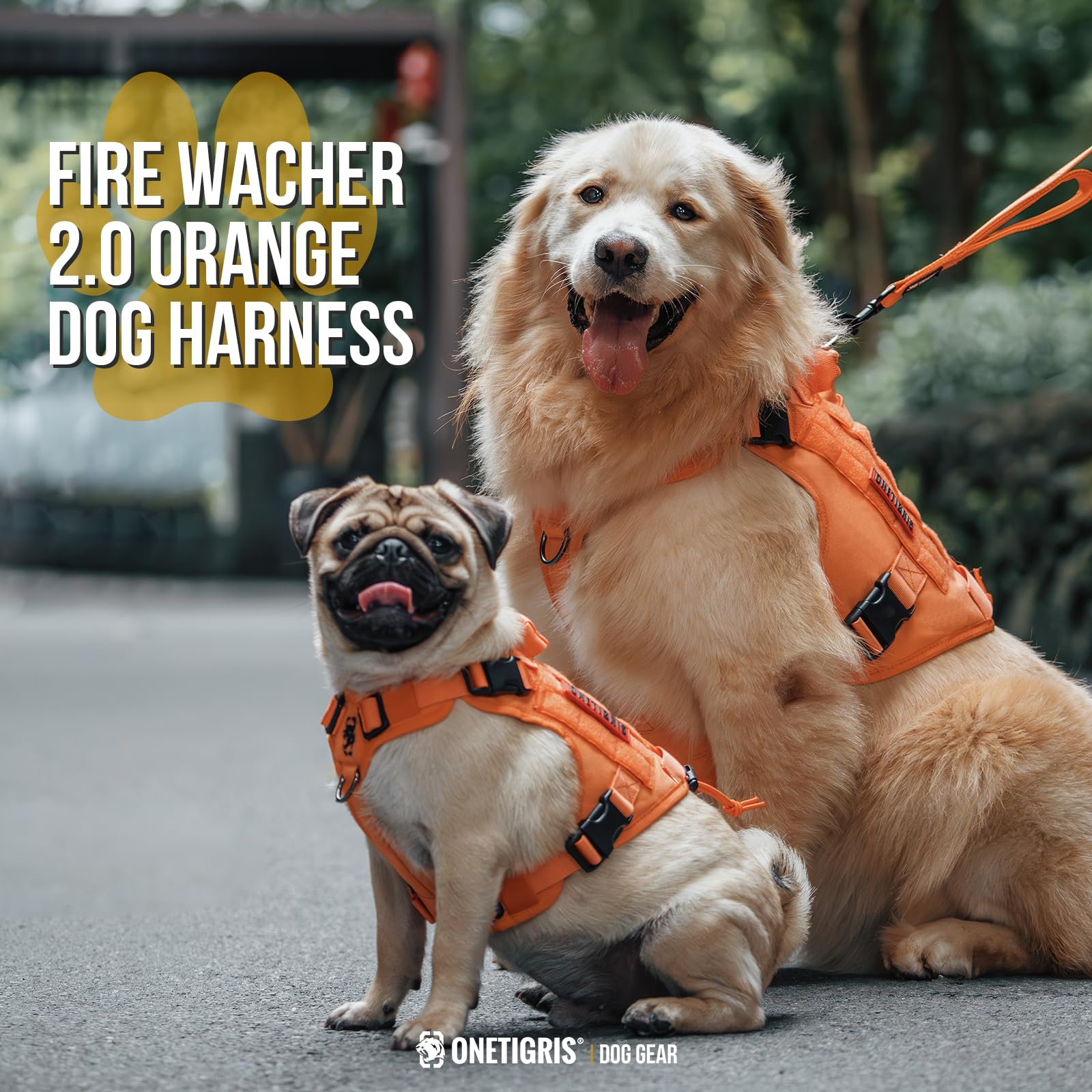 Guía de tallas ONETIGRIS para un ajuste perfecto en perros.
