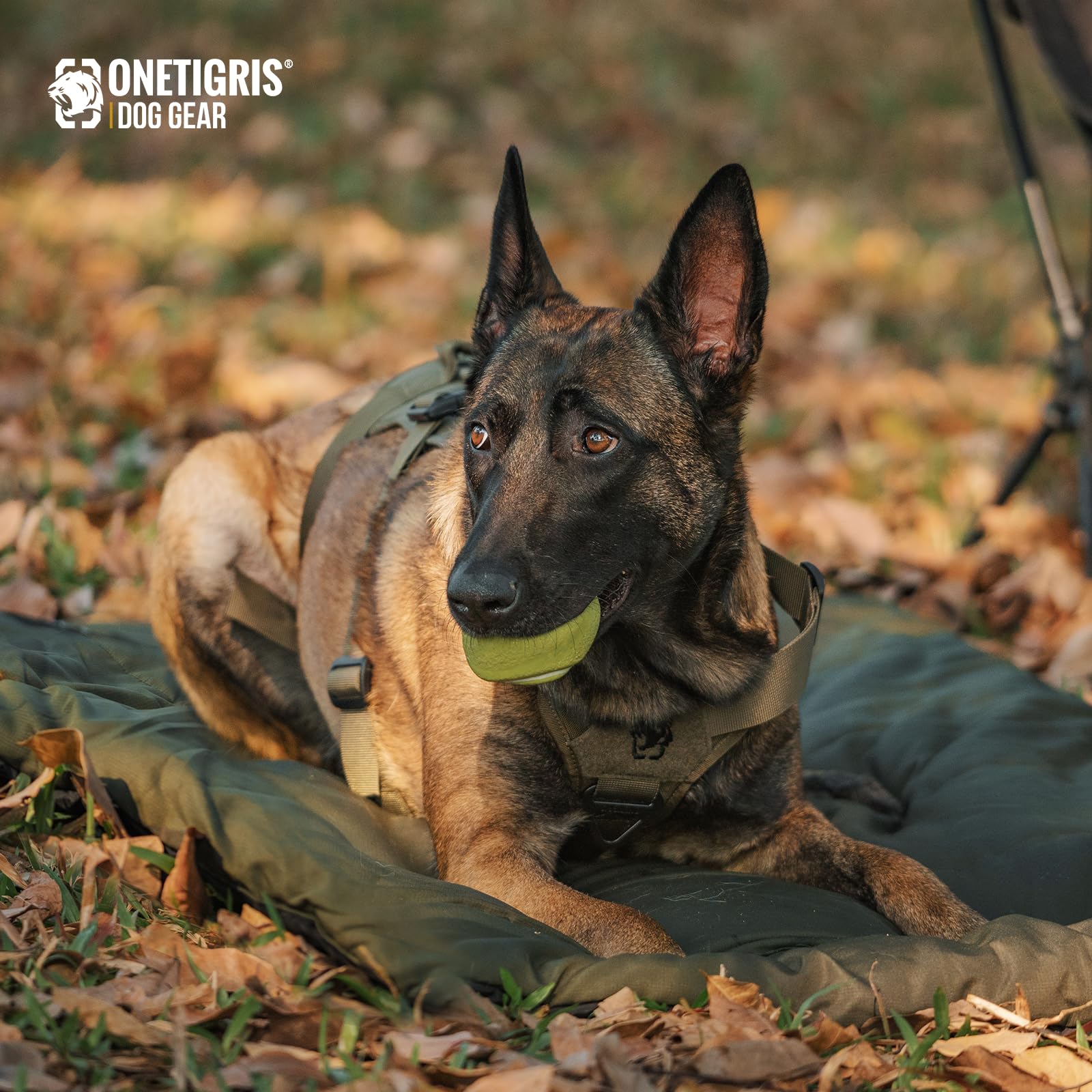 ONETIGRIS cama perro grande antideslizante, estabilidad al dormir