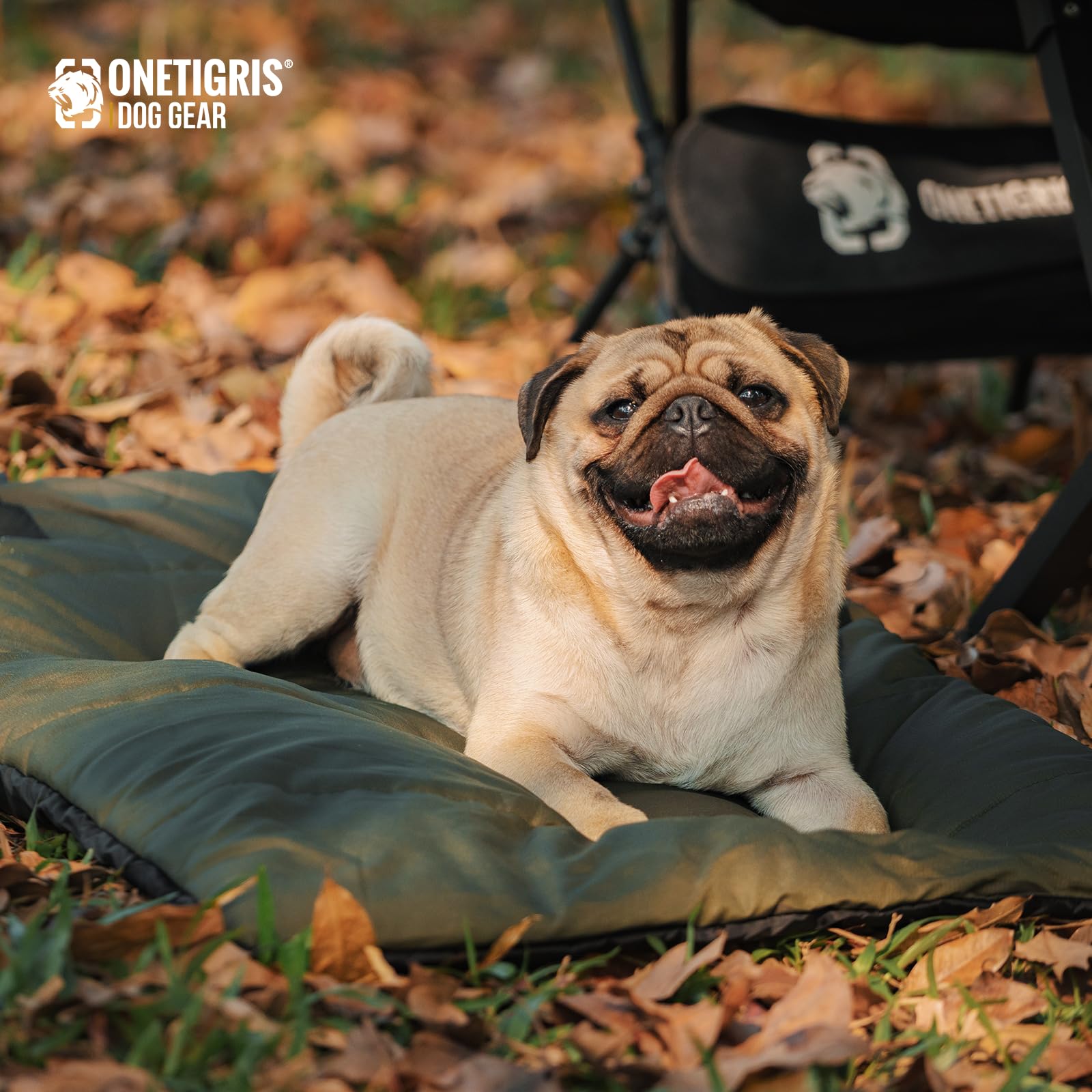 ONETIGRIS cama perro grande portátil, ideal para viajar